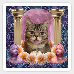 internet cat paradise Sticker